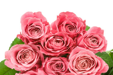 Similar image 514423