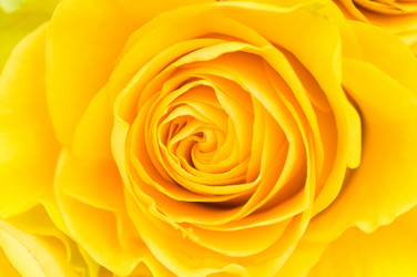 Similar image 514429