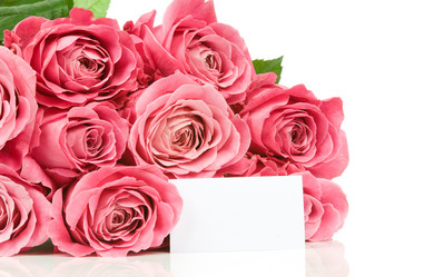 Similar image 514435