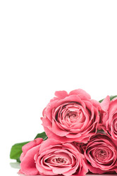 Similar image 514437