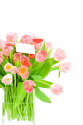 Similar image 514440