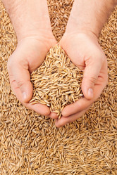 Similar image 514480