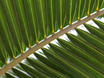 Similar image 514496