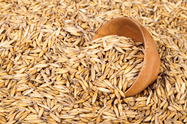 Similar image 514517