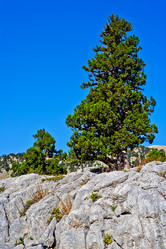 Similar image 514568