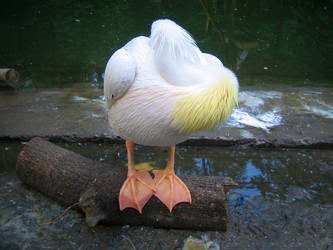 Similar image 514579