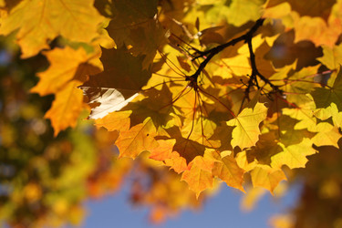 Similar image 514581