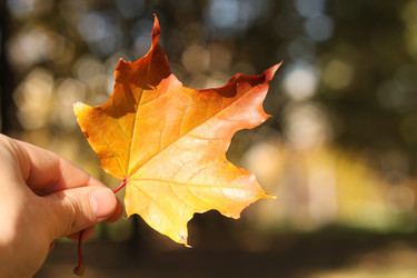 Similar image 514582