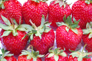 Similar image 514602