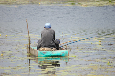 Similar image 514610