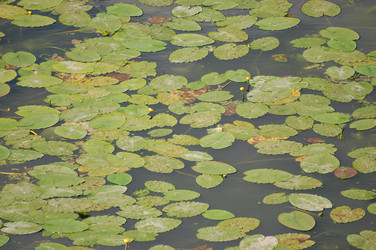 Similar image 514614