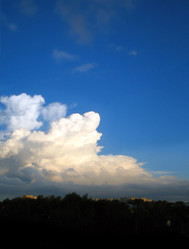 Similar image 514659