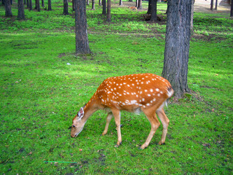 Similar image 514766