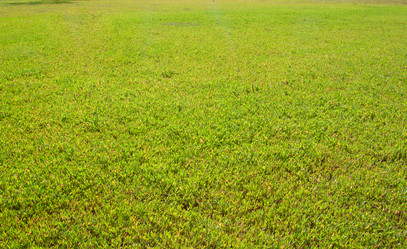 Similar image 514835