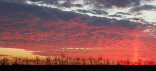 Similar image 514958