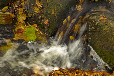 Similar image 514987