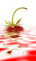 Similar image 515008