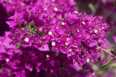 Similar image 515038