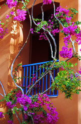 Similar image 515045