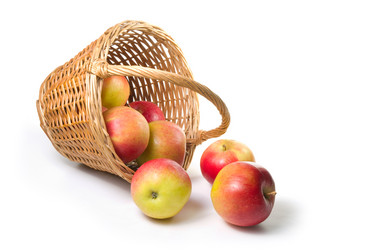 Similar image 515077