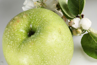 Similar image 515221