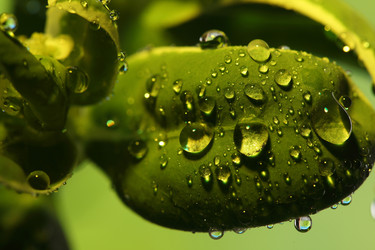 Similar image 515222