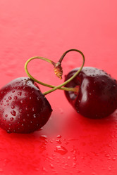 Similar image 515226