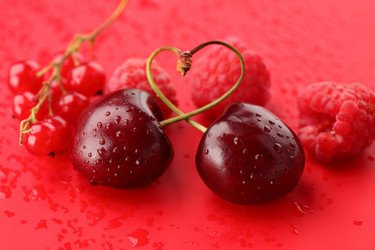 Similar image 515227