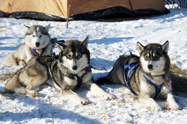 Similar image 515252