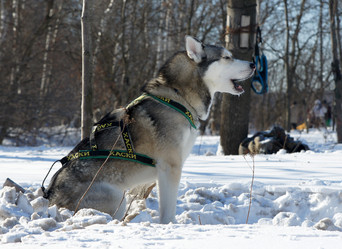 Similar image 515253