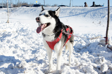 Similar image 515255