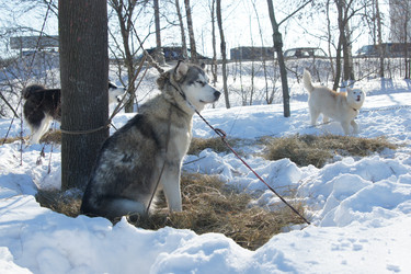 Similar image 515256