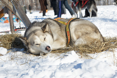 Similar image 515257