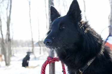 Similar image 515258