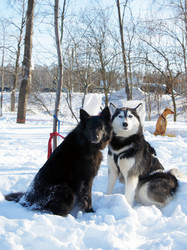 Similar image 515259