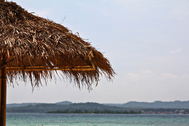 Similar image 515344