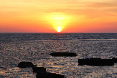 Similar image 515362