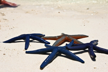 Similar image 515363