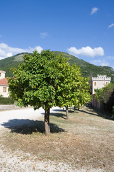 Similar image 515390