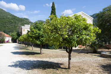 Similar image 515399