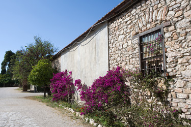 Similar image 515411