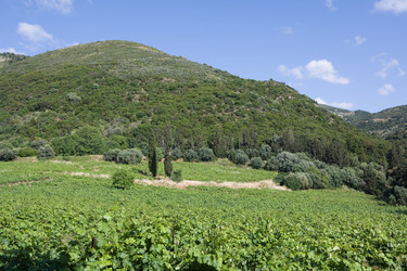 Similar image 515422