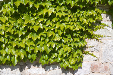 Similar image 515426