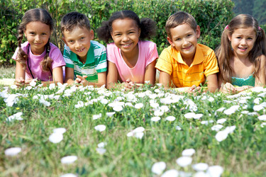 Similar image 515543