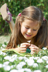 Similar image 515547