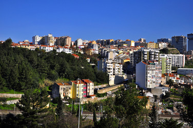 Similar image 515582