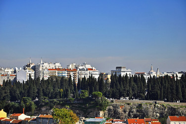 Similar image 515585