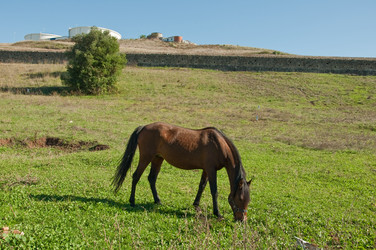 Similar image 515614