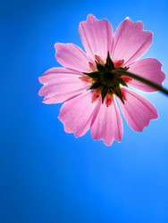 Similar image 515635