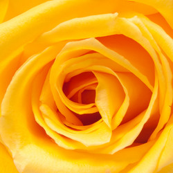 Similar image 515646